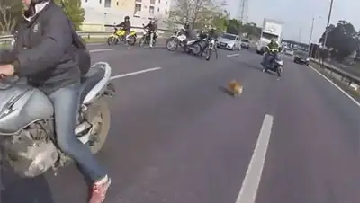 Zakon.kz, фото - Новости Zakon.kz от 13.03.2015 20:44