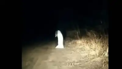 кадр видео, фото - Новости Zakon.kz от 18.11.2020 16:22