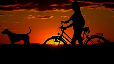 pixabay, фото - Новости Zakon.kz от 09.03.2019 07:16