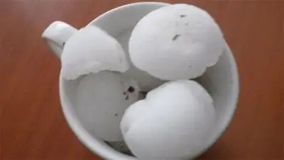 Zakon.kz, фото - Новости Zakon.kz от 28.06.2014 21:43