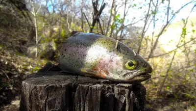 Zakon.kz, фото - Новости Zakon.kz от 20.04.2015 20:10