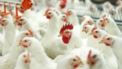 Zakon.kz, фото - Новости Zakon.kz от 14.12.2015 18:15