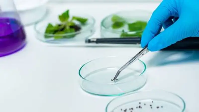 Сенатор предложил чиновникам съездить в Москву, чтобы понять, как мы отстали