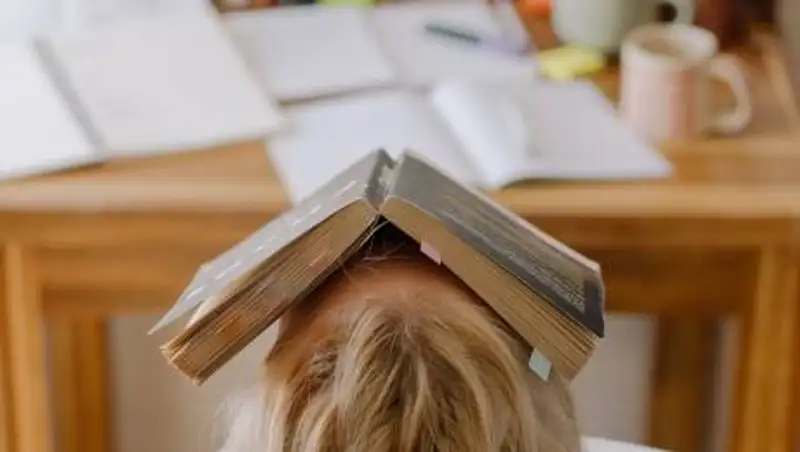 Почему участились проверки вузов в Казахстане, объяснили в МОН