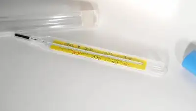 pixabay.com, фото - Новости Zakon.kz от 01.09.2021 10:46