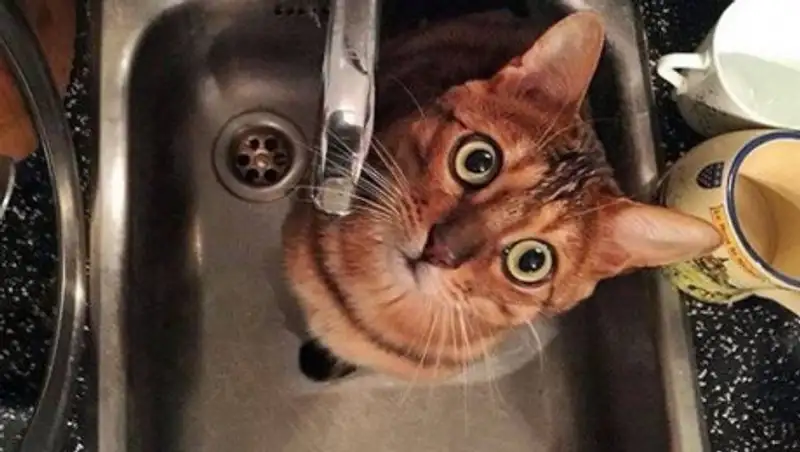 Ряд зданий в Медеуском районе Алматы отключат от холодной воды