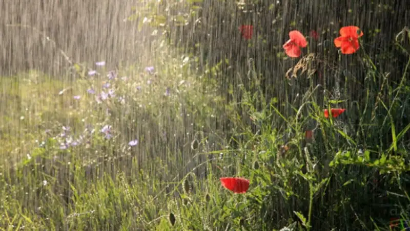 На большей территории Казахстана пройдут осадки