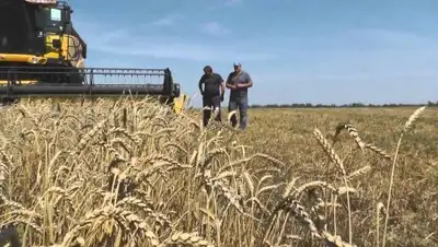 youtube.com, фото - Новости Zakon.kz от 18.09.2018 12:05