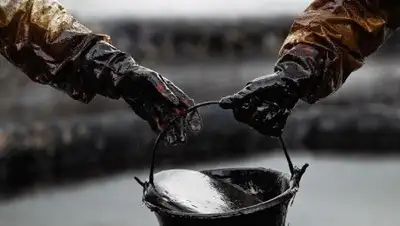 Zakon.kz, фото - Новости Zakon.kz от 18.04.2017 07:04