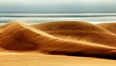 Zakon.kz, фото - Новости Zakon.kz от 28.10.2017 01:56