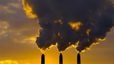 Zakon.kz, фото - Новости Zakon.kz от 28.10.2014 20:07