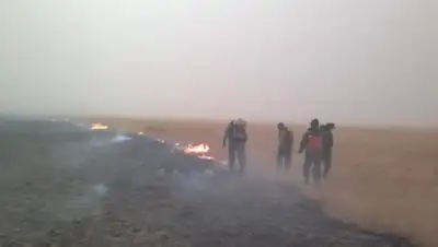 Zakon.kz, фото - Новости Zakon.kz от 28.08.2017 13:27