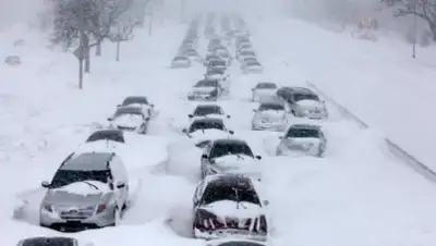 Zakon.kz, фото - Новости Zakon.kz от 20.02.2017 20:07