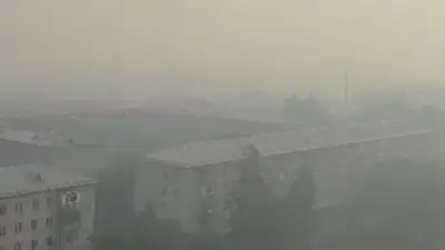 ДЧС Жетысуской области обратился к жителям из-за дыма 