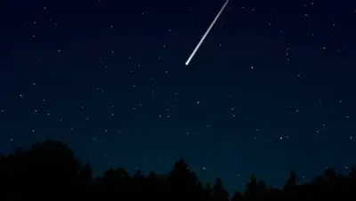 pixabay.com, фото - Новости Zakon.kz от 12.01.2021 12:23