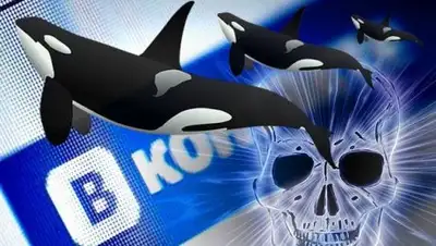 Zakon.kz, фото - Новости Zakon.kz от 01.02.2017 04:14