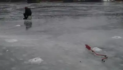 Zakon.kz, фото - Новости Zakon.kz от 06.03.2017 17:36