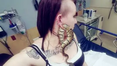 Zakon.kz, фото - Новости Zakon.kz от 03.02.2017 18:28