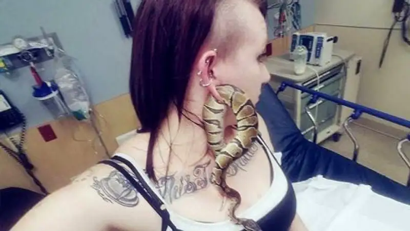 Домашний питон застрял в ухе хозяйки