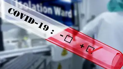 zakon.kz., фото - Новости Zakon.kz от 24.06.2020 08:01