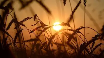 © РИА Новости / Александр Кряжев, фото - Новости Zakon.kz от 23.08.2018 10:09