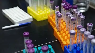 забор, фото - Новости Zakon.kz от 28.02.2023 21:42