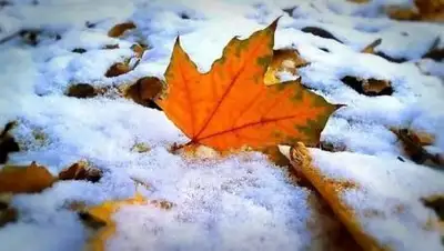 pixabay.com, фото - Новости Zakon.kz от 12.11.2020 15:39