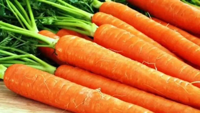 Медики назвали овощ, который может защитить от рака