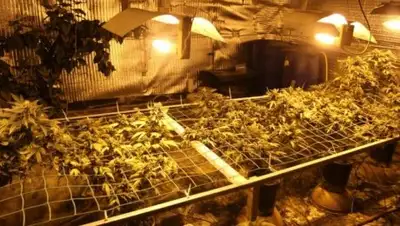 Vologda-poisk.ru, фото - Новости Zakon.kz от 24.01.2019 14:34