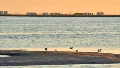 АО НК "КазМунайГаз", фото - Новости Zakon.kz от 19.11.2019 11:48