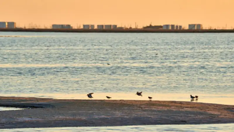 Инвестиции КМГ в переработку отходов выросли в три раза