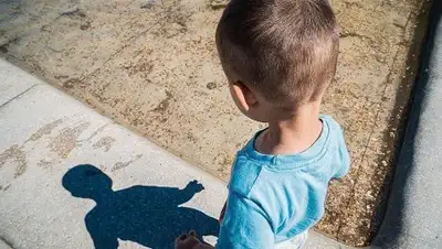 Zakon.kz, фото - Новости Zakon.kz от 24.07.2017 23:10