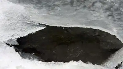 Zakon.kz, фото - Новости Zakon.kz от 04.01.2014 17:33