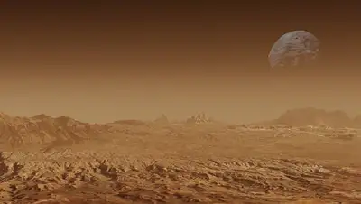 грунт, поверхность, фото - Новости Zakon.kz от 10.03.2022 12:10