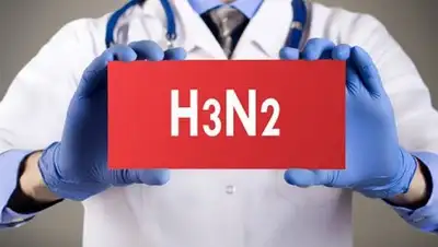 Zakon.kz, фото - Новости Zakon.kz от 18.01.2017 17:38