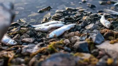 Zakon.kz, фото - Новости Zakon.kz от 09.08.2017 17:11