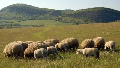 Zakon.kz, фото - Новости Zakon.kz от 24.06.2016 19:58