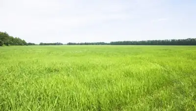 Zakon.kz, фото - Новости Zakon.kz от 11.02.2016 17:08