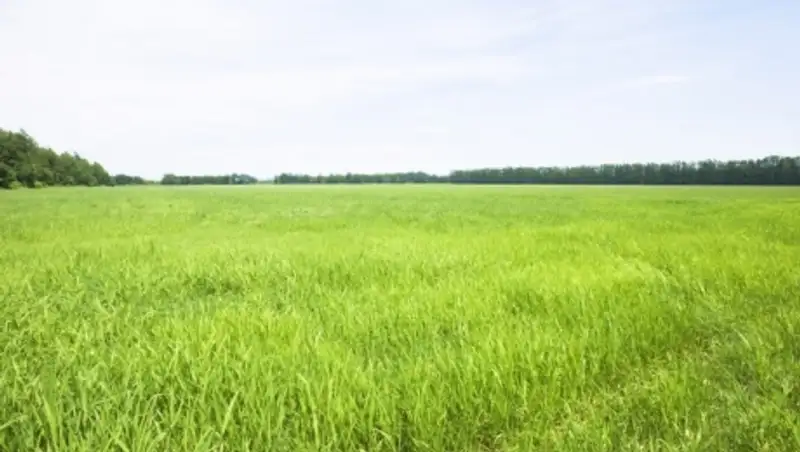 Ресей жал&#1171;а алып отыр&#1171;ан 500 мы&#1187; гектардан астам жер учаскелері &#1178;аза&#1179;стан&#1171;а &#1179;айтарылады