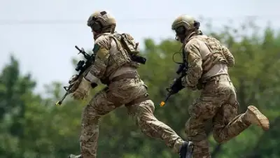 Cliff Owen / AP, фото - Новости Zakon.kz от 26.04.2018 09:39