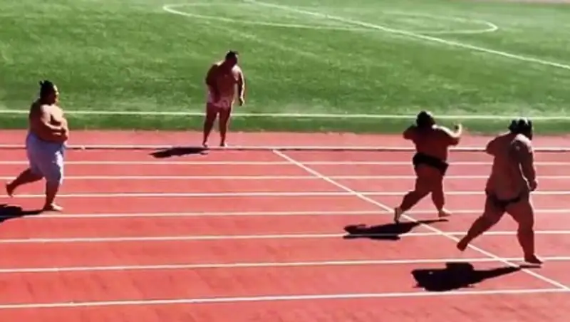 Вот как бегают борцы сумо