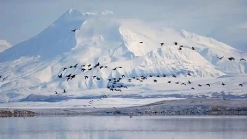 Экологи предсказали последствия климатических изменений в США через 100 лет