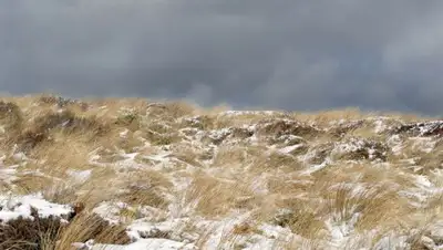 КТК, фото - Новости Zakon.kz от 20.12.2019 12:44