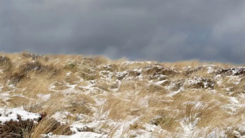 Что делать если вы заблудились в степи