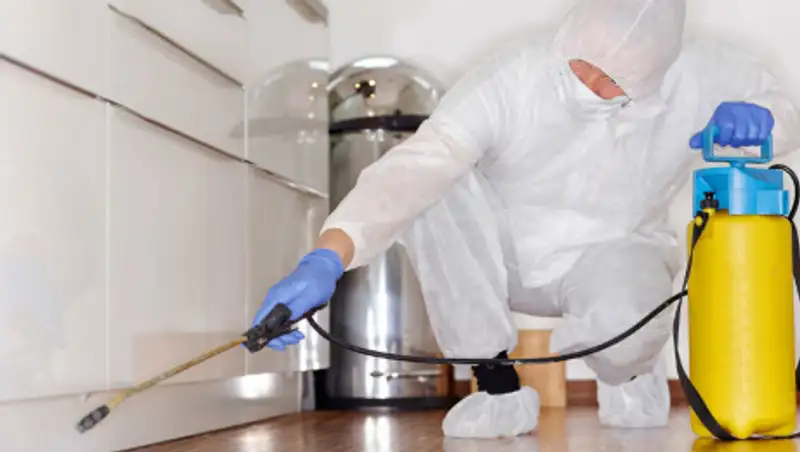 Почему хлорка опасна для дезинфекции дома