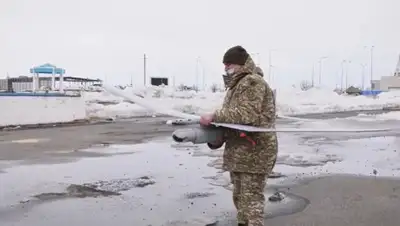 пресс-служба, фото - Новости Zakon.kz от 31.03.2020 14:27