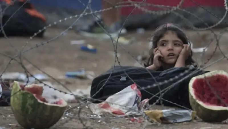 В Европу по морю в 2015 году прибыл 1 млн мигрантов, из них более 500 тыс. сирийцев