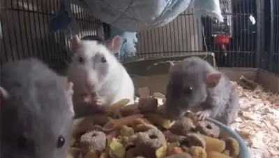 Zakon.kz, фото - Новости Zakon.kz от 06.04.2015 16:46