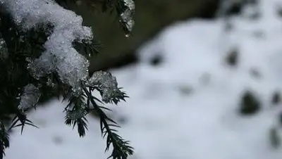 Zakon.kz, фото - Новости Zakon.kz от 06.03.2018 09:29