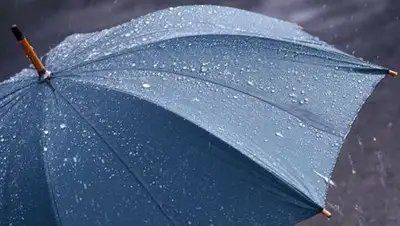 Zakon.kz, фото - Новости Zakon.kz от 29.04.2017 12:00